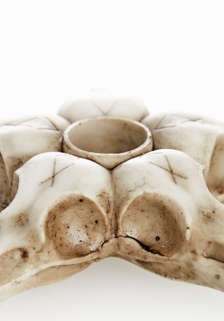 Lifestyle AFT1 | Raven Skull Candle Holder